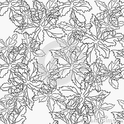 The pattern of contours of leaves. Vector Illustration