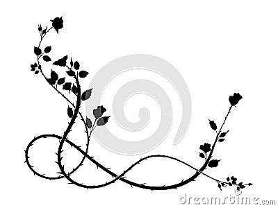 Pattern element corner of a rose with thorns weaving plant Vector Illustration