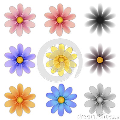 Pattern flower five petal set Vector Illustration