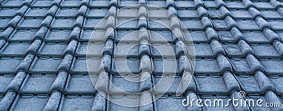 Pattern of frozen rooftop tiling in macro closeup, cold winter season, architecture background Stock Photo