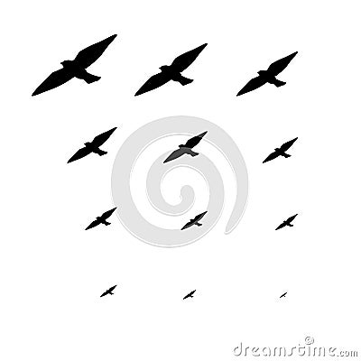 Pattern graphic of black animals. Group birds vector background Stock Photo