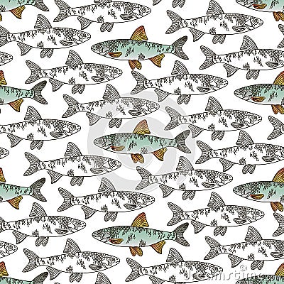 A pattern of graphic white fish with a contour and colored fish with a contour. Fish swim in different directions Vector Illustration