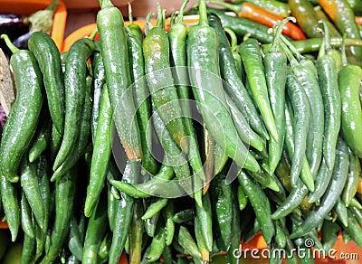 Green hot chili pepper. Stock Photo