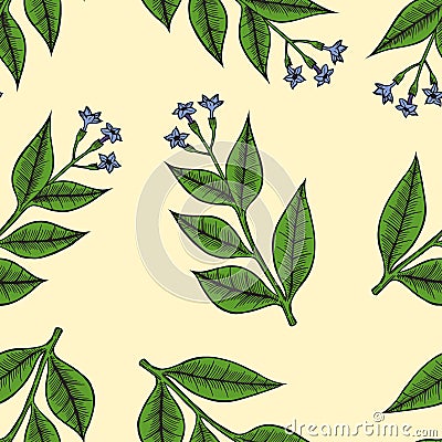 Pattern herbs and flowers Vector Illustration