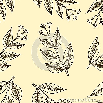 Pattern herbs and flowers Vector Illustration