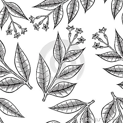 Pattern herbs and flowers Vector Illustration