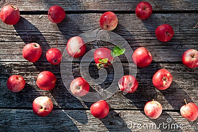 Pattern of Juicy red apples on a textured table background, top view, flat lay. Apple cooking and harves theme Stock Photo