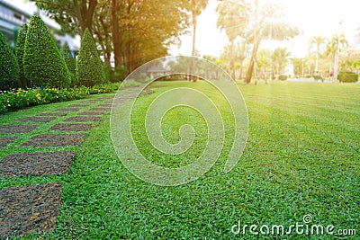 Pattern of Laterite steping stone on a green Lawn in the public park, Ficus and shurb on the left , Trees in background under Stock Photo