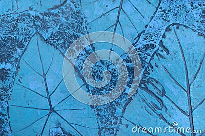 Pattern of leaf stamped on blue pastel concrete pavement for decorate walkways in the garden Stock Photo