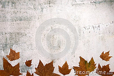 Pattern made of red and yellow fall leaves on concrete background, autumn concept Stock Photo