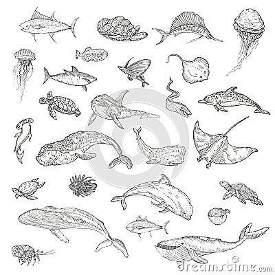 The pattern of marine animals. Vector Illustration