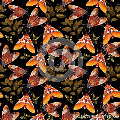 Pattern with moths and herbs Stock Photo