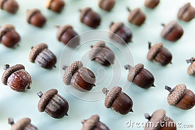 Pattern of oak tree acorns on light green background Stock Photo