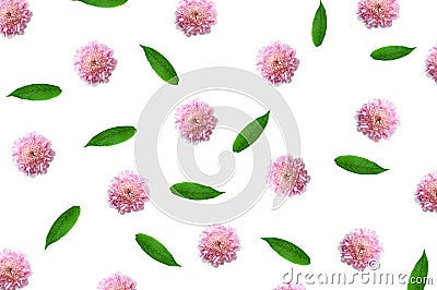 Pattern with pink flower buds, branches and leaves isolated Stock Photo