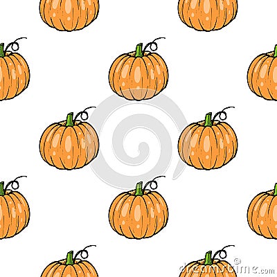 Pattern pumpkin - squash for Halloween or Thanksgiving flat color icon for apps and websites Vector Illustration