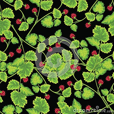 Pattern with raspberry Vector Illustration