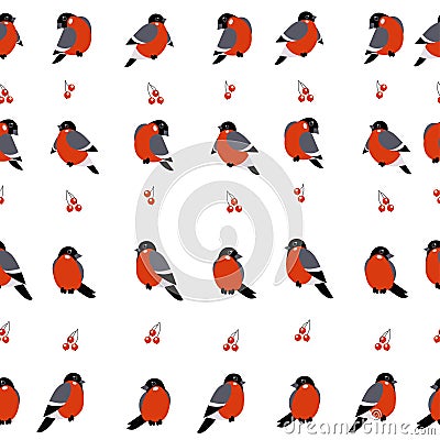 Pattern Red Xmas bird. Bullfinch illustration. Vector Illustration
