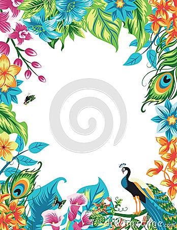 Summer tropical isolated frame decoration with peacock, palm leaves and hibiscus flowers. Vector Illustration