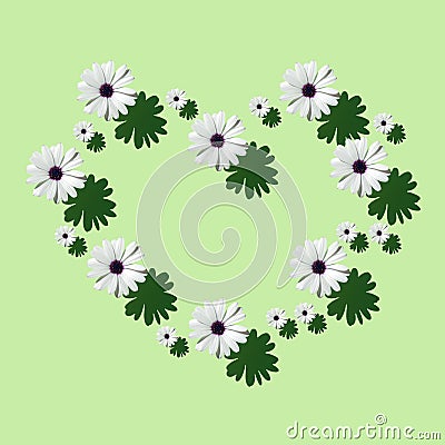 Pattern in shape oh heart of a beautiful white flower Aster on bright mint green background Stock Photo