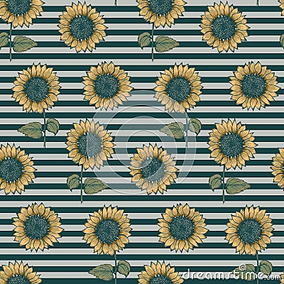 Pattern with sunflowers on striped background Vector Illustration