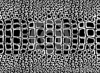 Pattern texture repeating seamless monochrome black and white. Crocodile skin. animal cobra, skin, pattern, snakeskin, pyth Stock Photo