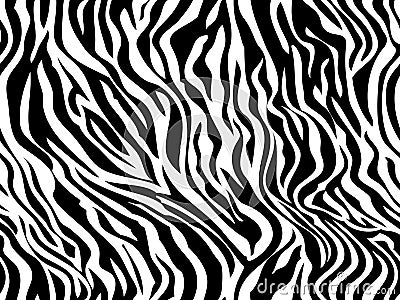 Pattern. Tiger zebra texture abstract background. Animal safari skin white black . Vector jungle strip seamless Vector Illustration