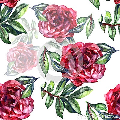 Pattern with watercolor realistic rose, peony and butterflies. Illustration. Stock Photo