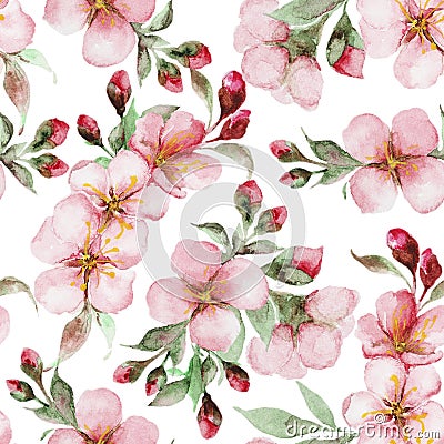 Pattern of watercolor sakura flowers Stock Photo