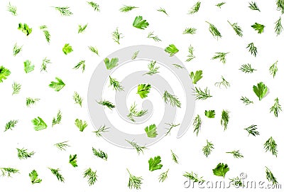 Pattern on a white background with dill, parsley. Top view Stock Photo