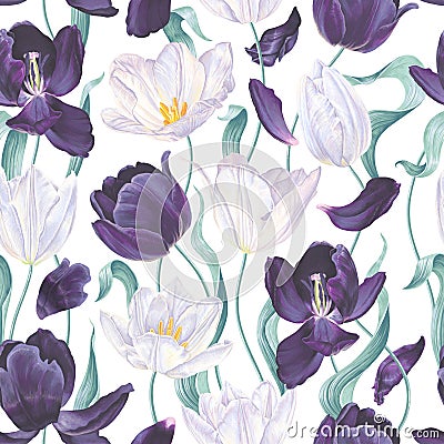 Seamless floral pattern with white, dark purple tulips, leaves and petals on a white background. Vector Illustration