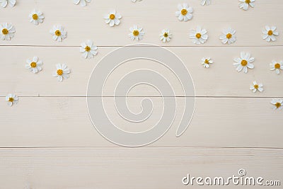 Pattern of white Spanish needle flowers Stock Photo