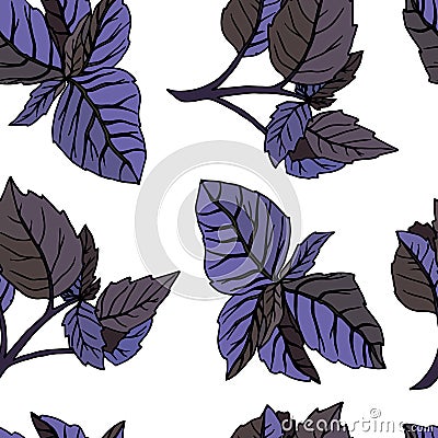 PatternBasil 1 Vector Illustration