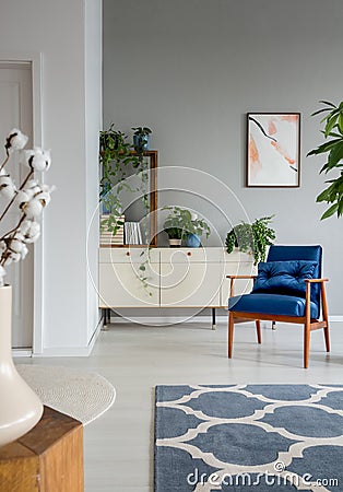 Patterned carpet and blue armchair in grey living room interior with poster and plants. Real photo Stock Photo