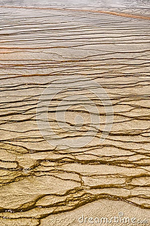 Patterns in the Grand Prismatic Spring Stock Photo