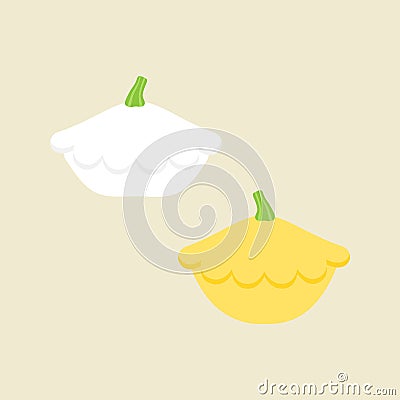 Patty pan squash vector illustration icons Vector Illustration