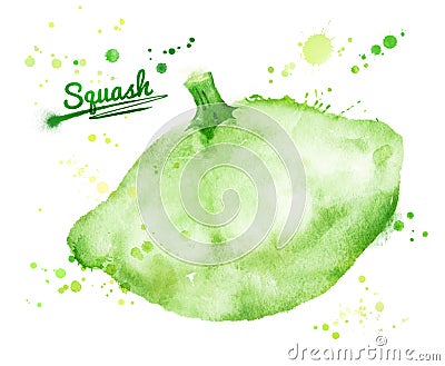Pattypan vegetable with paint splashes Cartoon Illustration