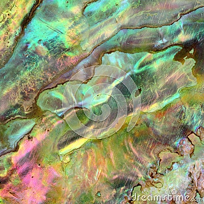 Paua Abalone Shell Detail Stock Photo