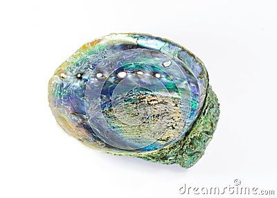 Paua shell Stock Photo