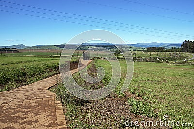 Paved Pathway Leading to Metal Scuplture of Nelson Mandela Editorial Stock Photo