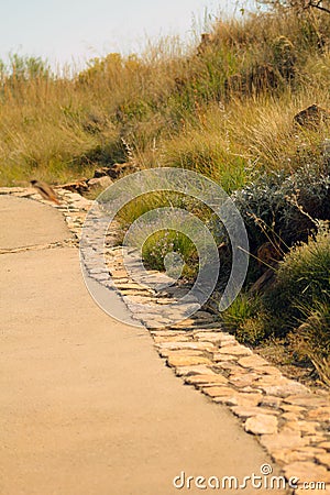 Paved pathway leading up a mountain Stock Photo