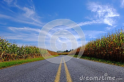 Paved Road Through Corn Field Stock Photo