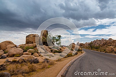 Paved Road at Joshua Tree National Park Stock Photo