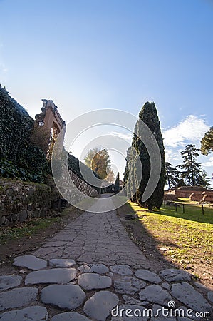 Paved road with trees, Palatine hill , Rome, Italy Stock Photo