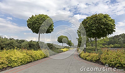A paved stepped path framed with clipped bushes and trees in a beautiful park Stock Photo
