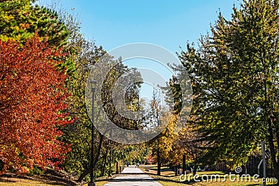 Paved walking-running path through the trees on a beautiful sunny autumn day Stock Photo