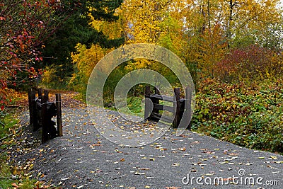 Paved Walking Trail and Bright Autumn Leaves Stock Photo