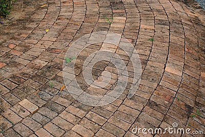 Paved walkway with brick block. Stock Photo