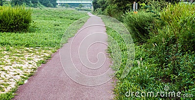 Paved walkway in a park Stock Photo