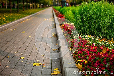 Pavement in the flower garden in autumn Stock Photo