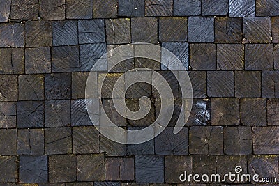 Pavement texture made of wooden blocks Stock Photo